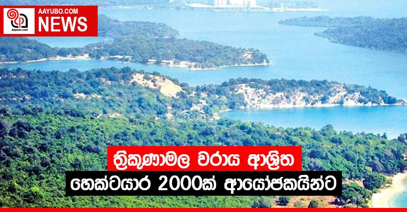 ත්‍රිකුණාමල වරාය ආශ්‍රිත හෙක්ටයාර 2000ක් ආයෝජකයින්ට