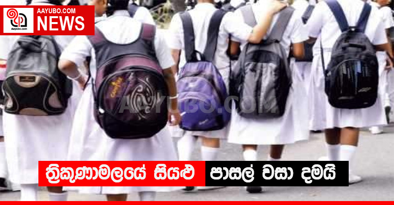 ත්‍රිකුණාමලයේ සියළු පාසල් වසා දමයි