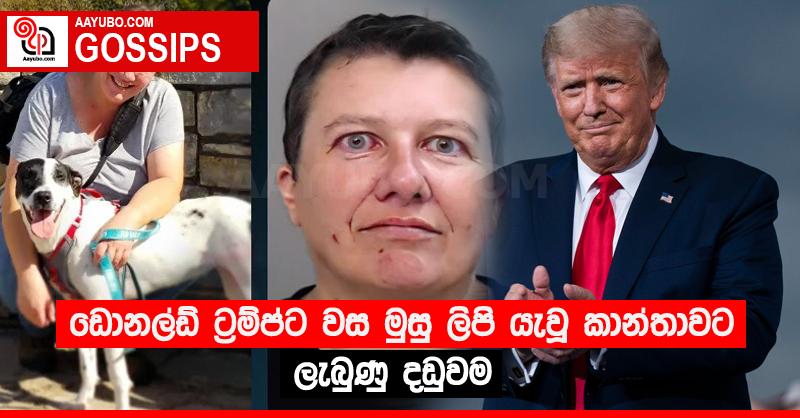 ඩොනල්ඩ් ට්‍රම්ප්ට වස මුසු ලිපි යැවූ කාන්තාවට ලැබුණු දඩුවම