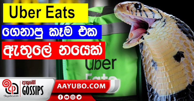 Uber එකෙන් ගෙදරට ආපු කෑම ඩිලිවරි එකේ නයෙක් ඉදලා (PHOTOS)