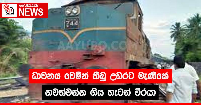 ධාවනය වෙමින් තිබූ උඩරට මැණිකේ නවත්වන්න ගිය හැටන් වීරයා