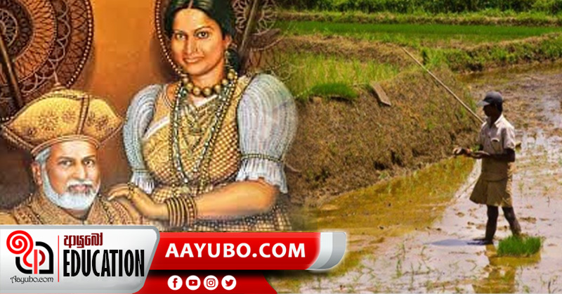 7 ශ්‍රේණිය - ඉතිහාසය:  ශ්‍රී ලංකාවේ සංස්කෘතිය