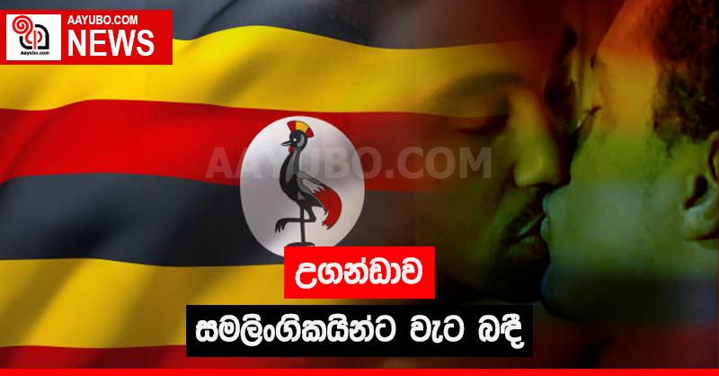 උගන්ඩාව සමලිංගිකයන්ට වැට බඳී