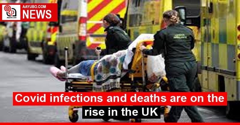 Covid infections and deaths are on the rise in the UK
