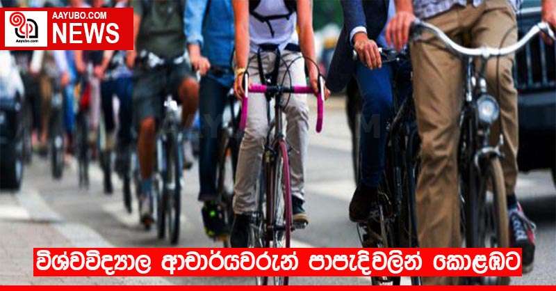 විශ්වවිද්‍යාල ආචාර්යවරුන් පාපැදිවලින් කොළඹට