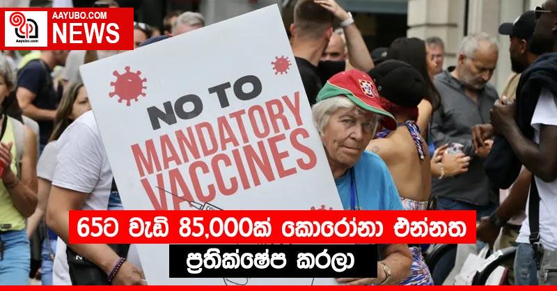 65ට වැඩි 85,000ක් කොරෝනා එන්නත ප්‍රතික්ෂේප කරලා