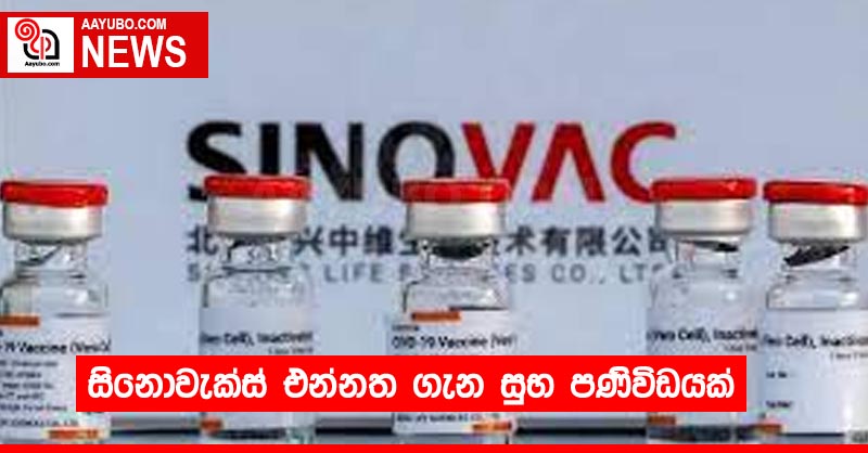 සිනොවැක්ස් එන්නත ගැන සුභ පණිවිඩයක්