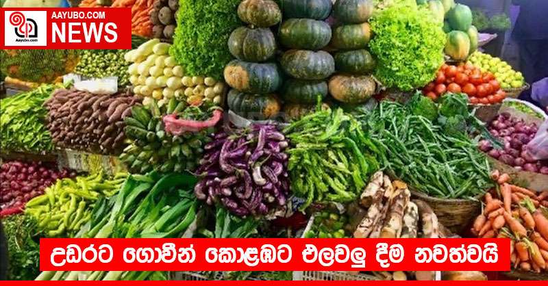 උඩරට ගොවීන් කොළඹට එලවලු දීම නවත්වයි