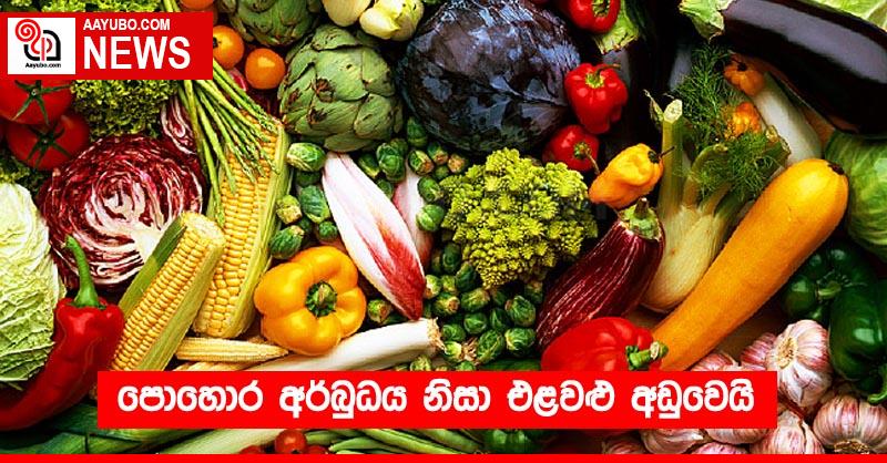 පොහොර අර්බුධය නිසා එළවළු අඩුවෙයි