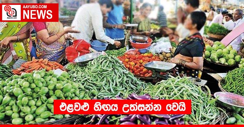 එළවළු හිඟය උත්සන්න වෙයි