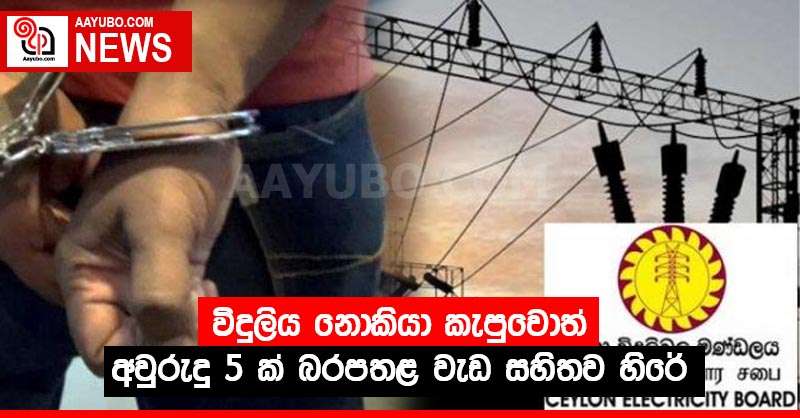 විදුලිය නොකියා කැපුවොත් අවුරුදු 5 ක් බරපතළ වැඩ සහිතව හිරේ