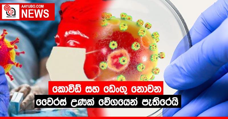 කොවිඩ් සහ ඩෙංගු නොවන වෛරස් උණක් වේගයෙන් පැතිරෙයි