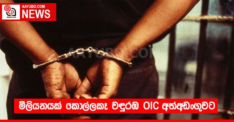 මිලියනයක් කොල්ලකෑ වඳුරඹ OIC අත්අඩංගුවට