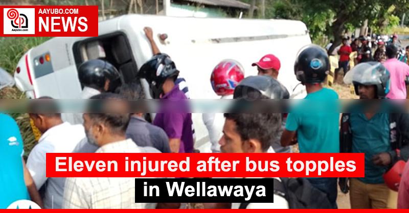 Eleven injured after bus topples in Wellawaya