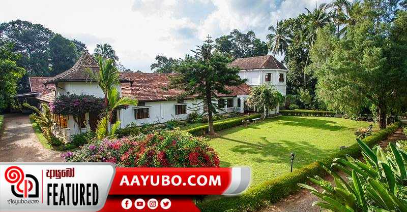 අදටත් කැමති වලව් ගෘහ නිර්මාණ ශිල්පය