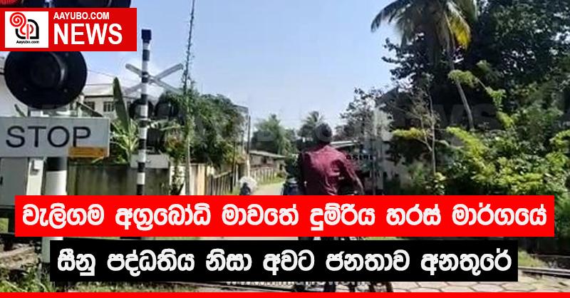 වැලිගම අග්‍රබෝධි මාවතේ දුම්රිය හරස් මාර්ගයේ  සීනු පද්ධතිය නිසා අවට ජනතාව අනතුරේ