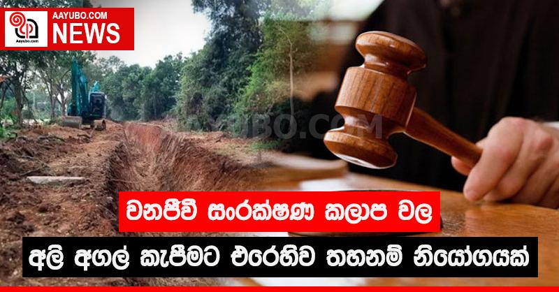 වනජීවී සංරක්ෂණ කලාප වල අලි අගල් කැපීමට එරෙහිව තහනම් නියෝගයක්