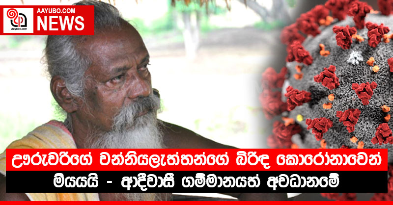 ඌරුවරිගේ වන්නියලැත්තන්ගේ බිරිඳ කොරෝනාවෙන් මරුට - ආදීවාසී ගම්මානයත් අවධානමේ