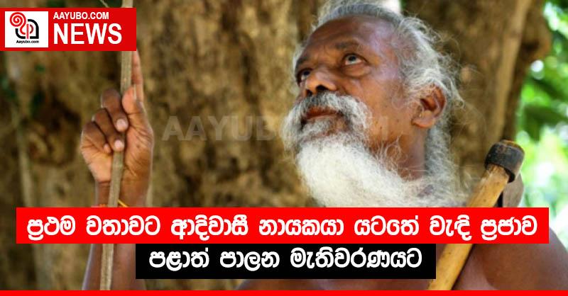 ප්‍රථම වතාවට ආදිවාසී නායකයා යටතේ වැඳි ප්‍රජාව පළාත් පාලන මැතිවරණයට