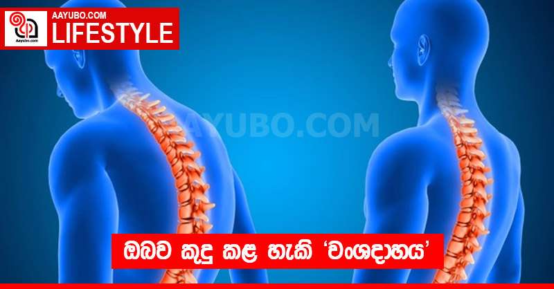 ඔබව කුදු කළ හැකි වංශදාහය