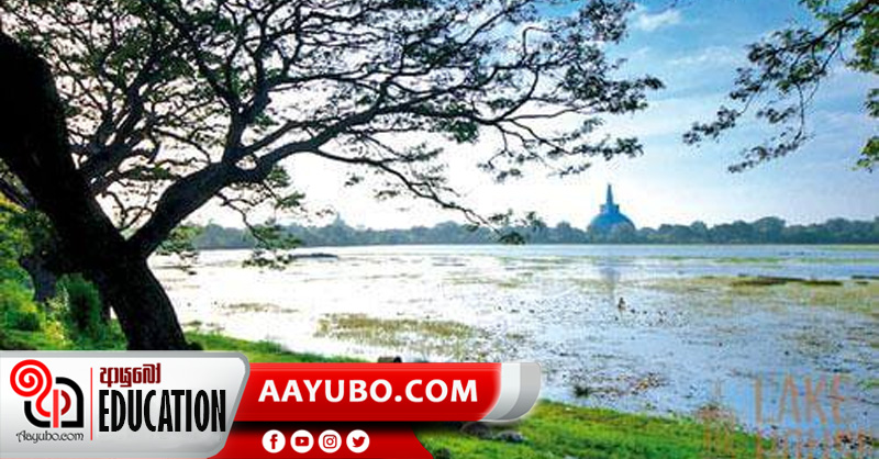 8 ශ්‍රේණිය- ඉතිහාසය: වාරි තාක්ෂණය