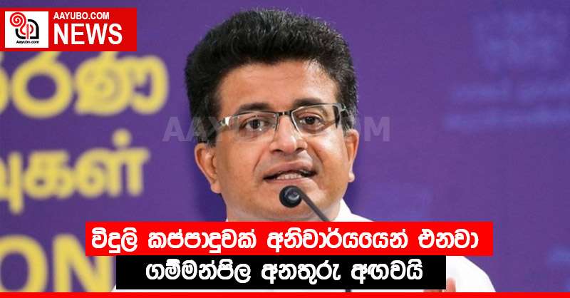 විදුලි කප්පාදුවක් අනිවාර්යයෙන් එනවා - ගම්මන්පිල අනතුරු අඟවයි