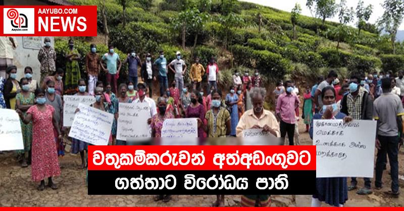 වතුකම්කරුවන් අත්අඩංගුවට ගත්තාට විරෝධය පාති
