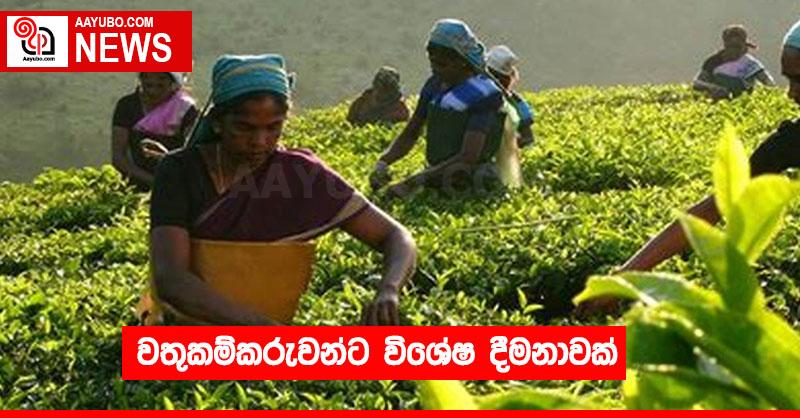 වතුකම්කරුවන්ට විශේෂ දීමනාවක්