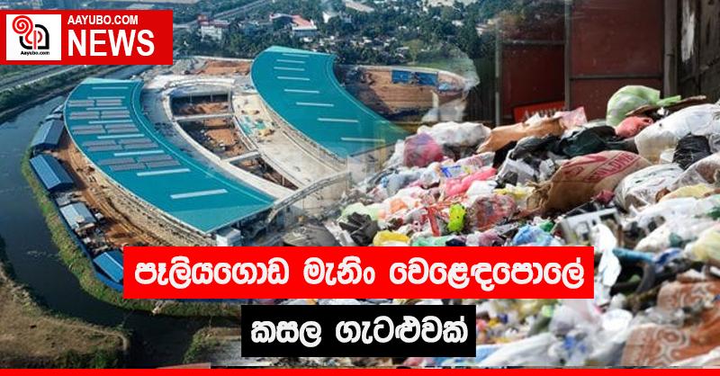 පෑලියගොඩ මැනිං වෙළෙඳපොළේ කසල ගැටළුවක්