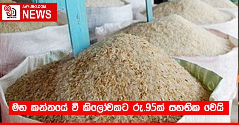 මහ කන්නයේ වී කිලෝවකට රු.95ක් සහතික වෙයි