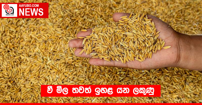 වී මිල තවත් ඉහළ යන ලකුණු