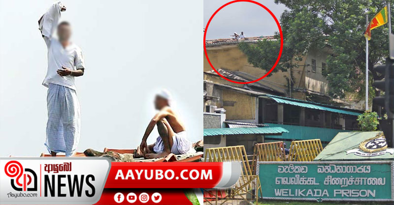 රෝයල් පාර්ක් ඝාතනයේ වරදකරුට මෙන් රැඳවියෝ ජනාධිපති සමාව ඉල්ලා උපවාසයක