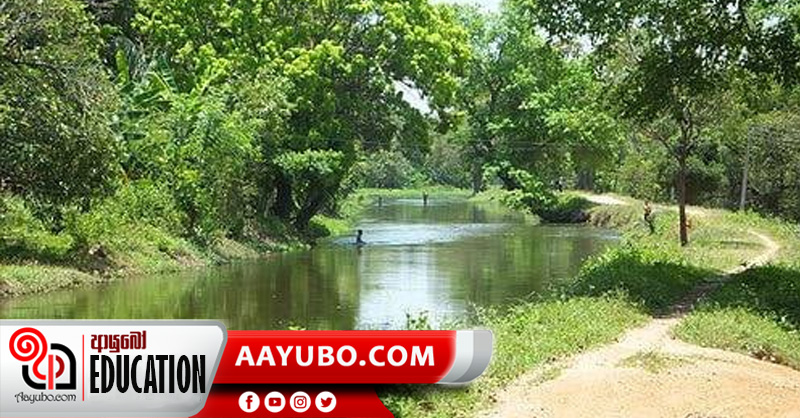 8 ශ්‍රේණිය - ඉතිහාසය: වේලි තාක්ෂණය
