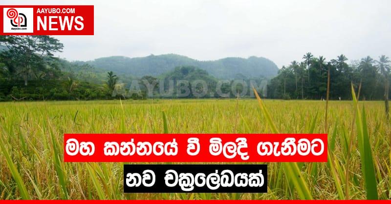 මහ කන්නයේ  වී මිලදී ගැනීමට නව චක්‍රලේඛයක්