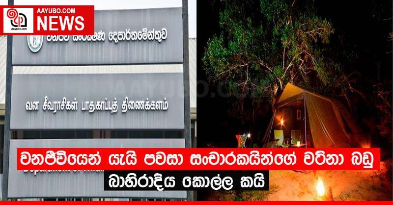 වනජීවියෙන් යැයි පවසා සංචාරකයින්ගේ වටිනා බඩු බාහිරාදිය කොල්ල කයි