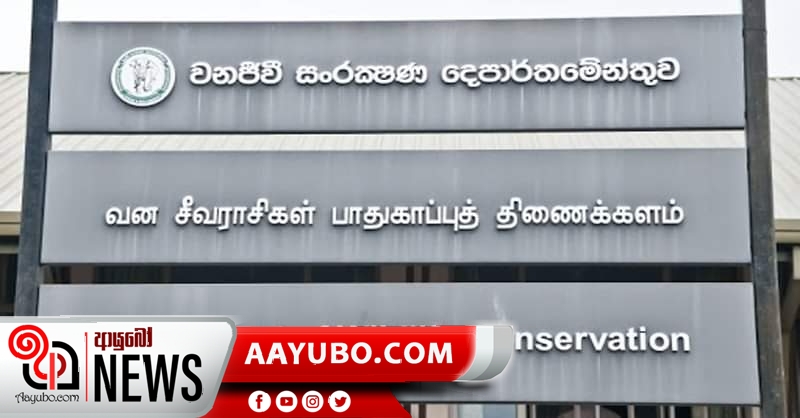 වනජීවී නිලධාරීන් හෙට ලෙඩ වෙයි