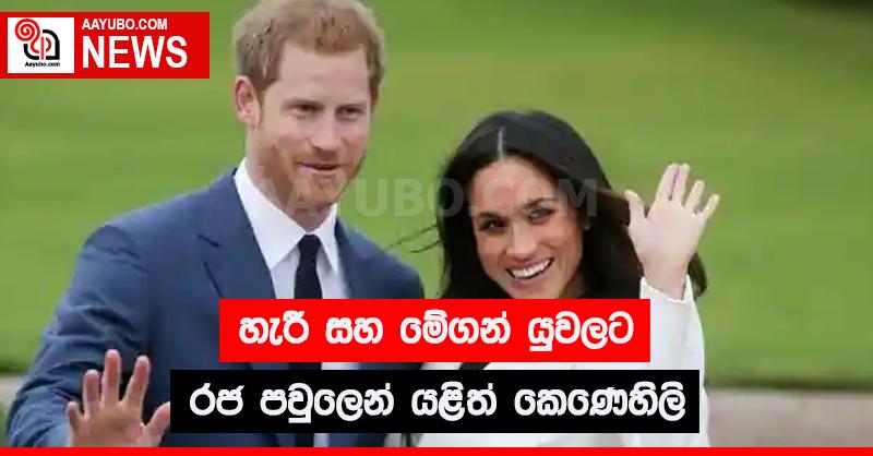 හැරී සහ මේගන් යුවලට රජ පවුලෙන් යළිත් කෙණෙහිලි 