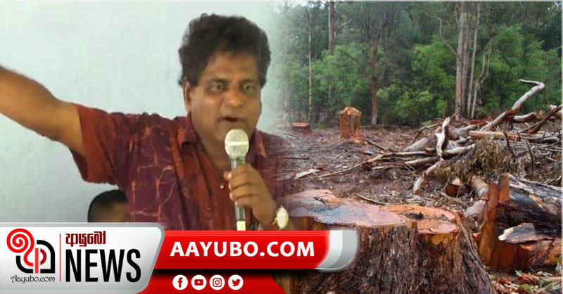 රජවරුන්ගේ සිට වර්තමාන නායකයින් දක්වා සියලු දෙනාම වන විනාශයට දායක වෙනවා - වනජීවී රාජ්‍ය ඇමති