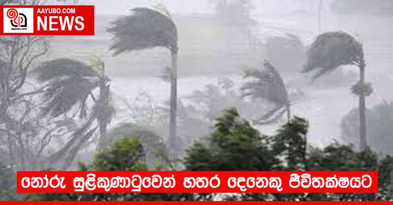 නෝරු සුළිකුණාටුවෙන් හතර දෙනෙකු ජීවිතක්ෂයට
