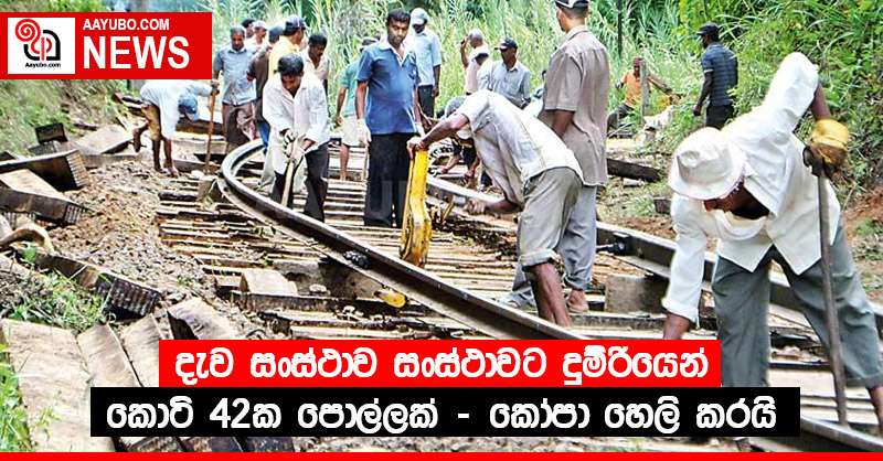 දැව සංස්ථාව සංස්ථාවට දුම්රියෙන් කොටි 42ක පොල්ලක් - කෝපා හෙලි කරයි