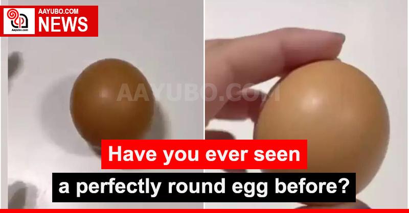 Have you ever seen a perfectly round egg before?