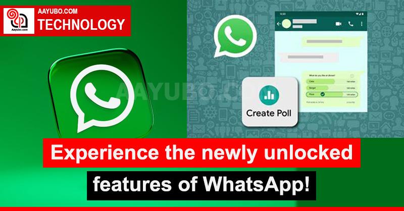Experience the newly unlocked features of WhatsApp!