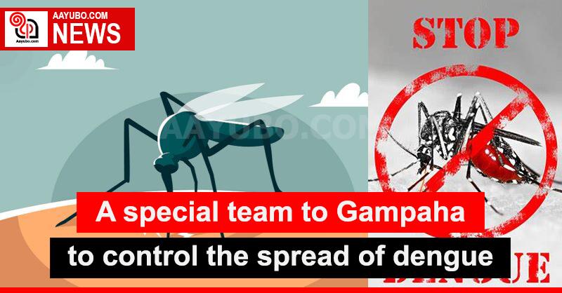 A special team to Gampaha to control the spread of dengue