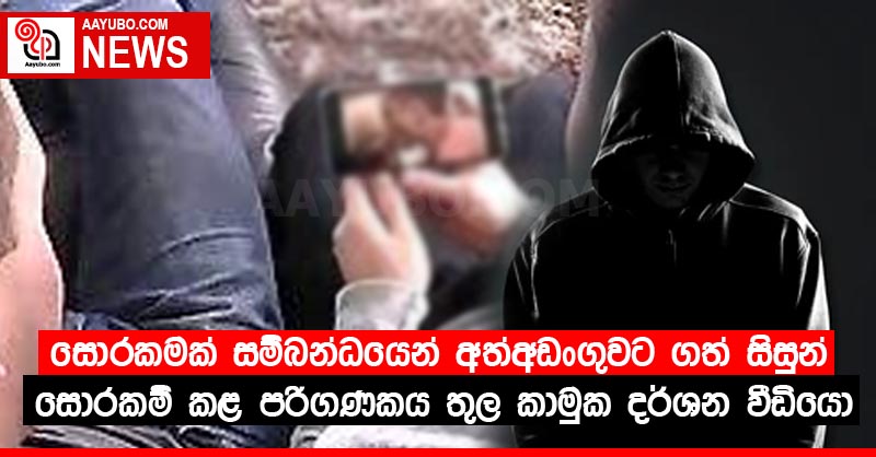 සොරකමක් සම්බන්ධයෙන් අත්අඩංගුවට ගත් සිසුන් සොරකම් කළ පරිගණකය තුල කාමුක දර්ශන වීඩියෝ