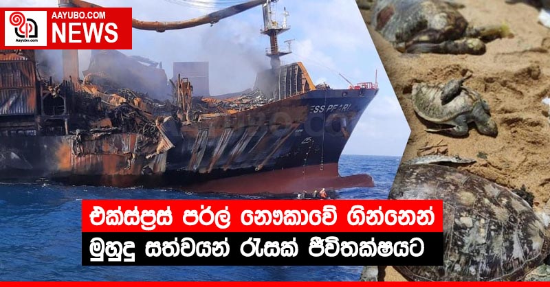 එක්ස්ප්‍රස් පර්ල් නෞකාවේ ගින්නෙන් මුහුදු සත්වයන් රැසක් ජීවිතක්ෂයට