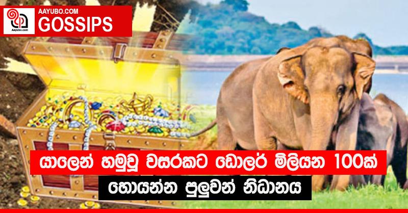 යාලෙන් හමුවූ වසරකට ඩොලර් මිලියන 100ක් හොයන්න පුළුවන් නිධානය 