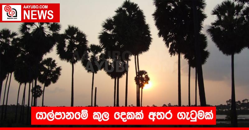 යාල්පානමේ කුල දෙකක් අතර ගැටුමක්