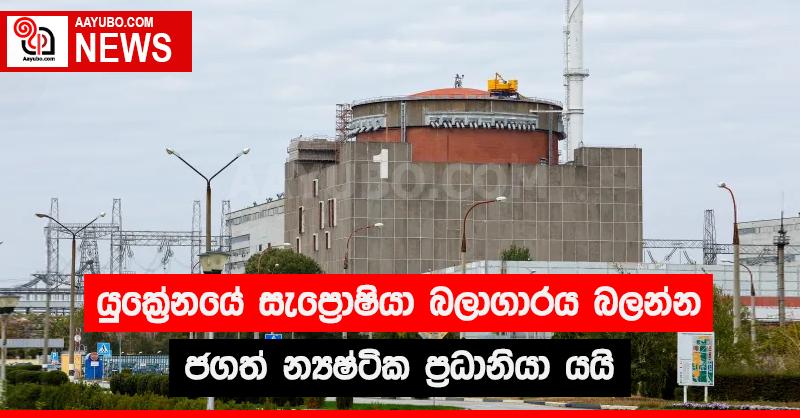 යුක්‍රේනයේ සැප්‍රොෂියා බලාගාරය බලන්න ජගත් න්‍යෂ්ටික ප්‍රධානියා යයි
