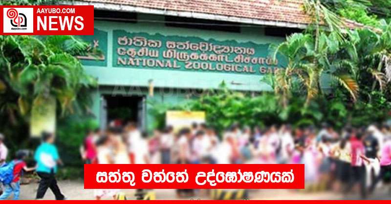 සත්තු වත්තේ උද්ඝෝෂණයක්