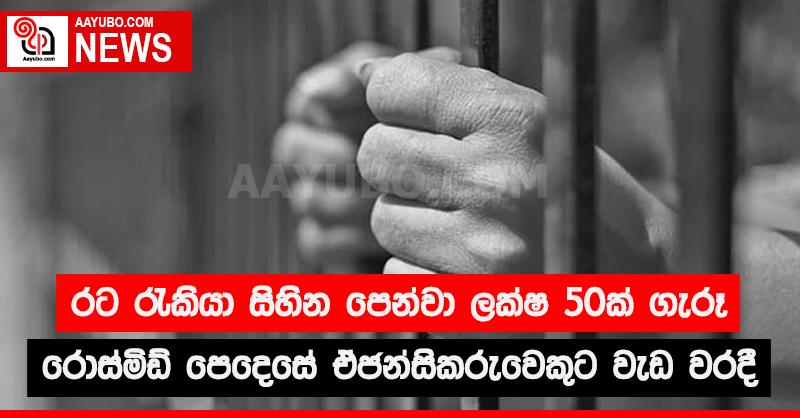 රට රැකියා සිහින පෙන්වා ලක්ෂ 50ක් ගැරූ රොස්මිඩ් පෙදෙසේ ඒජන්සිකරුවෙකුට වැඩ වරදී